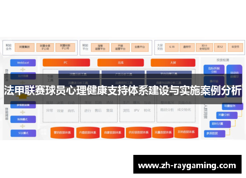 法甲联赛球员心理健康支持体系建设与实施案例分析