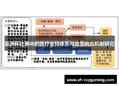 亚洲杯比赛中的医疗支持体系与应急响应机制研究