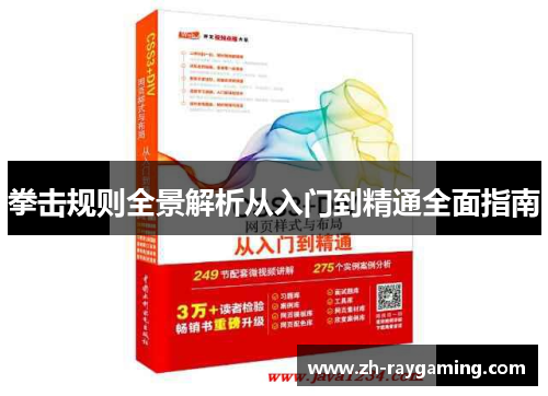 拳击规则全景解析从入门到精通全面指南