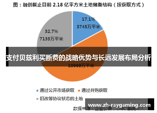 支付贝兹利买断费的战略优势与长远发展布局分析